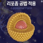 뉴트리럽 고함량 리포좀 글루타치온 인지질코팅 콜라겐 : 요다이스요
