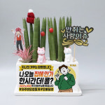 노래방 노래연습장 개업화분 오픈축하선물 작은화분선물 스투키 맞춤제작 : 띵팟