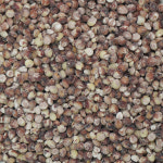 전남 해남 오색향미 잡곡 1kg 흑미 현미 보리 잡곡 혼합곡 : 더조은푸드