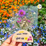 압화액자 만들기 키트 diy 캘리 투명 원목액자 드라이플라워 학생 어르신 : 달콩 마트