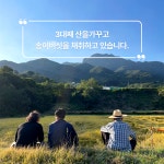 자연산 송이버섯 경남 거창 가북 송이 : 정가네 시골이야기