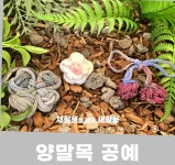 양말목 공예(키링 DIY-3개 1세트) : 리써클새활용환경교육교재교구