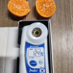 [임가네 귤농장] 제주 감귤 산지직송 산하홍 홍귤 빨간귤 노지 5kg, 300개 : 임가네 귤농장