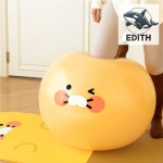 춘식이 캐릭터 볼 짐 애완동물 장난감 : 아르우라오