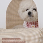 강아지집 사계절 애견하우스 해피하우스 펫하우스 : 모멍트 MOMENTE