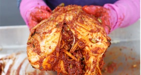 직접 담근 전라도 여수 김장 배추 김치 10kg : 원조김치사랑