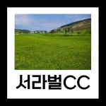 서라벌CC 1박2일 골프패키지 (24년12월) : 투어티골프