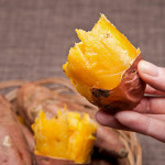 여주 고구마 베니하루카 햇고구마 해남 꿀고구마 5kg : 바른장터몰