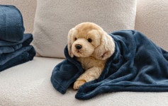강아지담요 펫 블랭킷 고양이 애견담요 : 리브보나