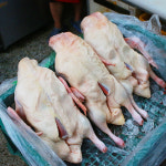 [강서구·양천구 배달] 토막내드리는 오리탕생오리 2.5kg 내외 [화곡본동 농우축산] : 동네시장 장보기