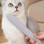 고양이 그루밍 스틱 혓바닥 디자인 브러쉬 스크래쳐 : 다잇주
