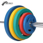 베스코 3홀 컬러 중량 원판 헬스 바벨 2.5kg, 1개 : 웰피트