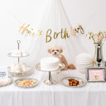 [대여] 강아지 생일파티 고양이 생일상 돌잔치 애견 용품 세트 블링실버 : 댕데이
