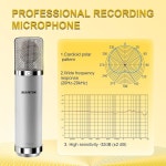 34mm 대형 다이어프램, 카디오이드 레코딩 마이크 컴퓨터 게이밍 PC TM251S 마이크, 노래, 팟캐스트, 유튜브용 - 그레이 : 미스틱마켓플레이스