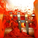 단칼칼 국산 단양 세척 청결 햇고춧가루(세가지매운맛) 500g 1근 : 단양농부클라스