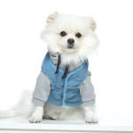 골덴곰팅패딩 : 앞집멍멍이뒷집야옹이