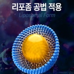 인지질 코팅 리포좀 글루타치온 콜라겐 리포조말 식약청 : 요다이스요