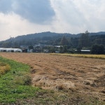 양평 고래실(논) 추청 쌀 2kg(1kg 2개) : 양평 복분자 농장