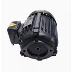 3 상 유압 3 상 비동기 모터, AEEH 80 4 1HP 0.75KW VP SF 20 D 오일 펌프 : 프린스타31
