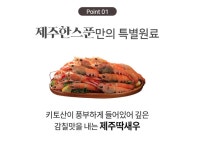 해물총각 천연 가루육수 스틱 잔치국수 분말 육수 새우 분말가루 제주한스푼 4g 22포 : 해물총각