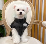 멍멍룩 도그페이스 패딩조끼S 강아지 말티즈 불독 패딩조끼 소형견 중형견 애견의류 커플룩 조임끈X : MK컴퍼니