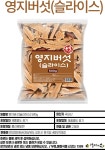 국내산 영지버섯 슬라이스 자른 절편 영지 버섯 차 500g : 자유장터