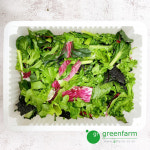 샐러드 야채믹스 500g : 싱싱채소 그린팜