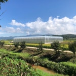 단부기 고당도 스마트팜 청년딸기 산지직송 설향딸기 1팩 800g : 단북애청년