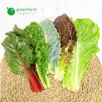 모듬쌈 300g (2-3종류) : 싱싱채소 그린팜