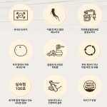 고철남 발효 흑도라지 배 쌍화 생강청 배도라지청 짜먹는스틱 10ml x 100포 실속형 : 솔루션365