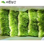 [ 바른농산 ] 국내산 쌈추 쌈배추 쌈채소 2kg : 바른농산 우리농산