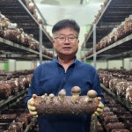 참송이버섯 선물세트 : 정상참송이농장