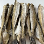 특대 호프집 반건조 두절 노가리 : 전일건어물