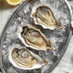 통영 제철 굴 생굴 각굴 석화 하프쉘 : 푸드공작소