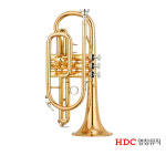 영창 코넷 YTP120G Cornet YTP-120G Young Chang : 주식회사 피스뮤직