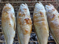 [섬마을어부] 참숯 숯불 생선구이 5종모음 수제 명절선물 밥반찬 구운생선 고흥 맛집 : 고흥숯불생선구이섬마을어부
