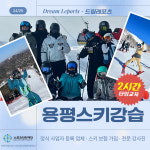 용평스키강습 용평리조트 유아 어린이 성인 학생 2시간 개별맞춤레슨 : 드림레포츠 스키강습