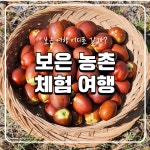 [보은충북]주말농촌체험여행 : 대추골주민여행사