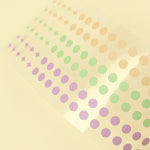 스테디, 스태리 스티커 (4종) : 페이퍼리안 PAPERIAN