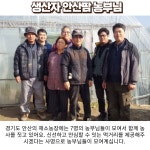 국내산 고수 고수나물 생 고수풀 싱싱한 향신료 마라탕 당일재배 1단 1kg, 1개 : 싱싱투데이 농수산