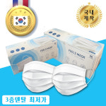 국산 덴탈마스크 3중필터 2000매 (50매x40박스) : 리나리빙