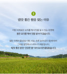 철원 오대 단일미 쌀10kg 단일품종 벼도정 잔류농약 불검출 게르마늄농장 25년 햅쌀 : 게르마늄농장