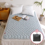 보국 1인용 전기요 차박용전기장판 캠핑 전기매트 더블 : 보국공식스토어