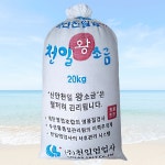 국산 천일염 20kg 최상급 신안천일염 굵은소금 김장용 절임용 : 천일염업사