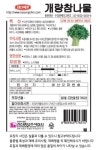 개량참나물 3g 추대가 늦고 향이 진한 쌈채 야생초 씨앗 경신종묘 : 정산흥농종묘농약사