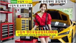 엔진오일 교환 나라 보충 경고등 리셋 교체 보증기간 공임 벤츠 bmw 폭스바겐 아우디 볼보 : 자동차의 모든것 착한카