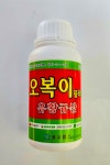 오복이플러스 500ml 세계최초 유황 규산 이온화 수용화한 특허제품 수확량 증가 각종 병해충 예방 친환경 유기농자재 코시팜스... 