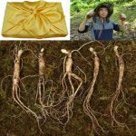 천봉산삼 7년근 5뿌리 산양삼 산양산삼 장뇌삼 자연산산삼 설 추석 선물세트 : 뿌리와열매9