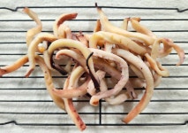 금창수산 통통싸우나찡어 250g 반건조오징어 통통사우나찡어 : 금창수산