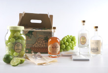 와인 만들기 키트, 샤인머스켓 와인, 포도와인 체험 : 힐링포도원